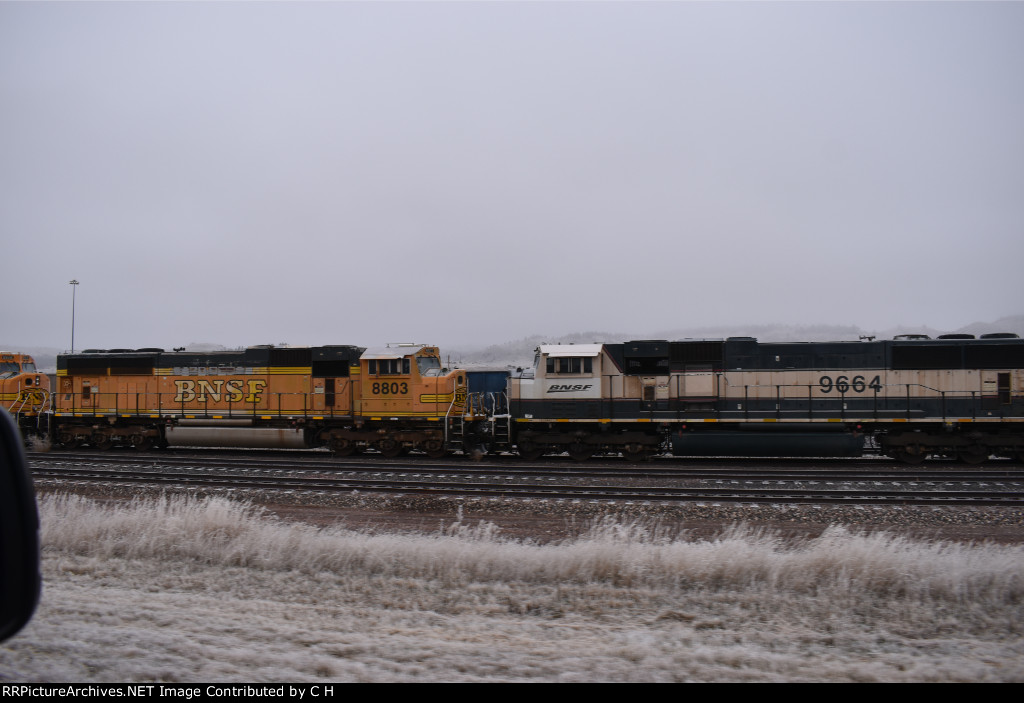 BNSF 8803/9664